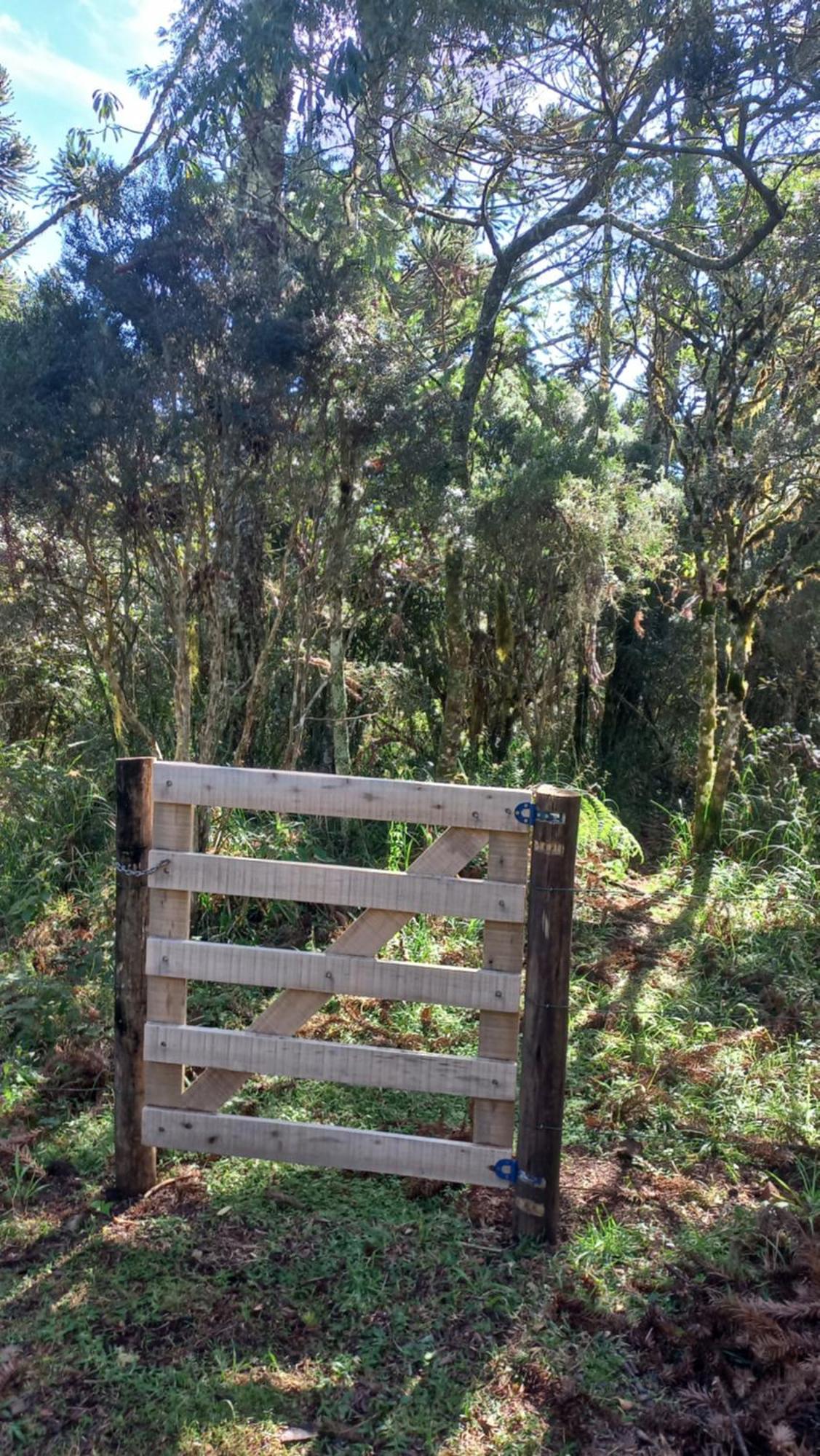 Cabana Na Floresta Rincao Do Fortaleza Cambará Kültér fotó